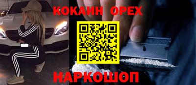 СК Кингисепп