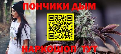 СК Кингисепп