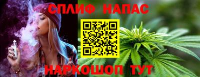 СК Кингисепп