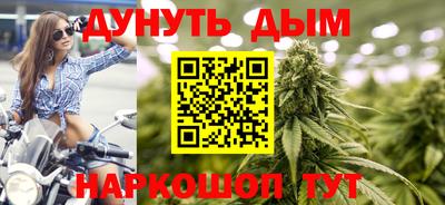 СК Кингисепп