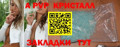 СК Кингисепп