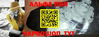 СК Кингисепп