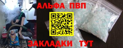 СК Кингисепп