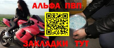 СК Кингисепп