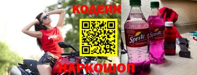 СК Кингисепп