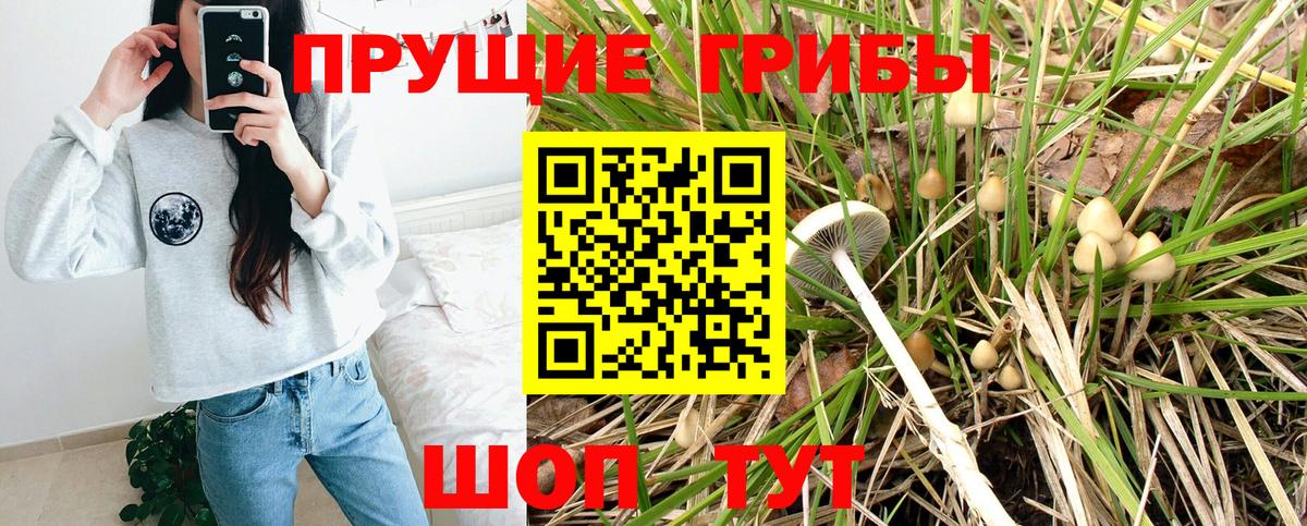 Псилоцибиновые грибы Psilocybine cubensis  Вход с VPN  Балашов 
